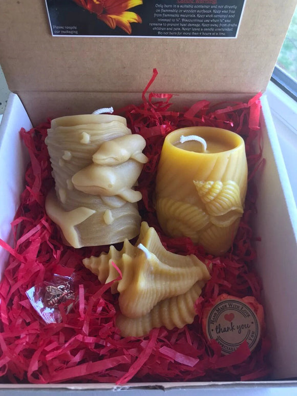 Beach Gift Box - Bees Light Candles