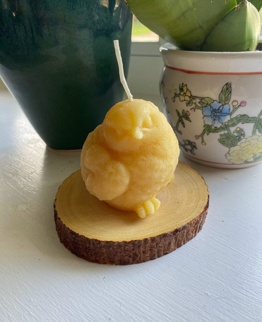 Birdy Beeswax Candle | All Natural Bees Wax Candles | Fledgling | Baby Bird | Birdbath | USA Handmade | Animal | Aves | Aviary | Zoo | Pond - Bees Light Candles