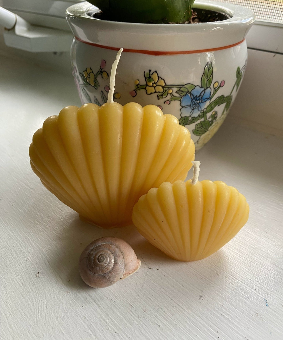 Clam Shell Beeswax Candle Set | 100% All Natural Bees Wax Candles | USA Handmade | Sea | Ocean | Sea | Bay | Beautiful Gift Clamshell NEW - Bees Light Candles