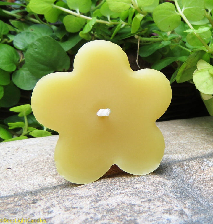 Clover Floating Beeswax Candles | Handmade in USA | 100% Natural Bees Wax | Cotton Wick | Floats in Water | Fall | Event | Unscented | Party - Bees Light Candles