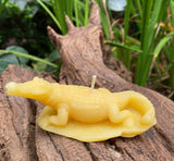 Crocodile Beeswax Candle | 100% Bees Wax Candles| Clean Burn | Cotton Wicks | Alligator | Gator | Animals | Everglades | Gift Unique | Swamp - Bees Light Candles