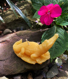 Crocodile Beeswax Candle | 100% Bees Wax Candles| Clean Burn | Cotton Wicks | Alligator | Gator | Animals | Everglades | Gift Unique | Swamp - Bees Light Candles