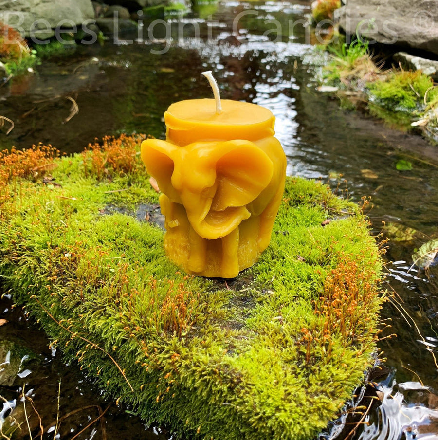 Elephant Beeswax Candle | Wild Animal Pillar Candles | 100% Natural Bees Wax Pillars | Unscented with Pure Honey Aroma | South African NEW - Bees Light Candles