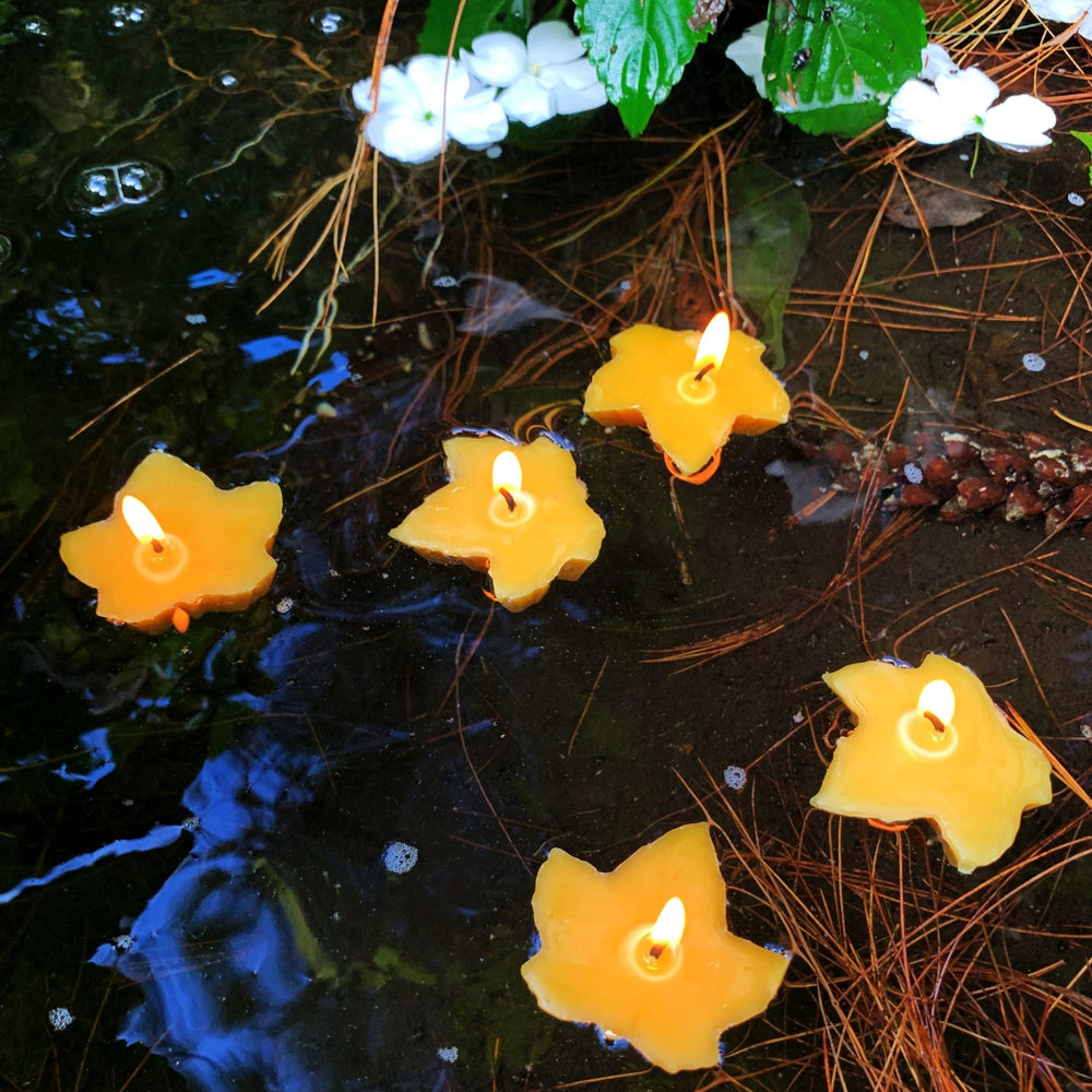 Floating Maple Leaf Beeswax Candles | 100% Natural | Handcrafted in the USA | Fall | Event | Party | Summer | Gift | Candle Floats in Water - Bees Light Candles