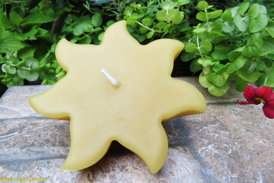 Floating Sun Beeswax Candle | 100% All Natural | Sun Wheel | Party Event | Floats in Water | Handmade | Summer | Pond | Bird Bath | Pool - Bees Light Candles