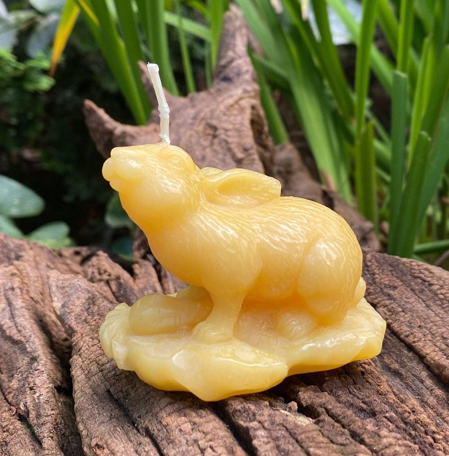 Garden Rabbit Beeswax Candle | 100% All Natural Bees Wax Candles | Bunny Spring | Hare | Animal Collection | Small Gift | USA Handmade | NEW - Bees Light Candles