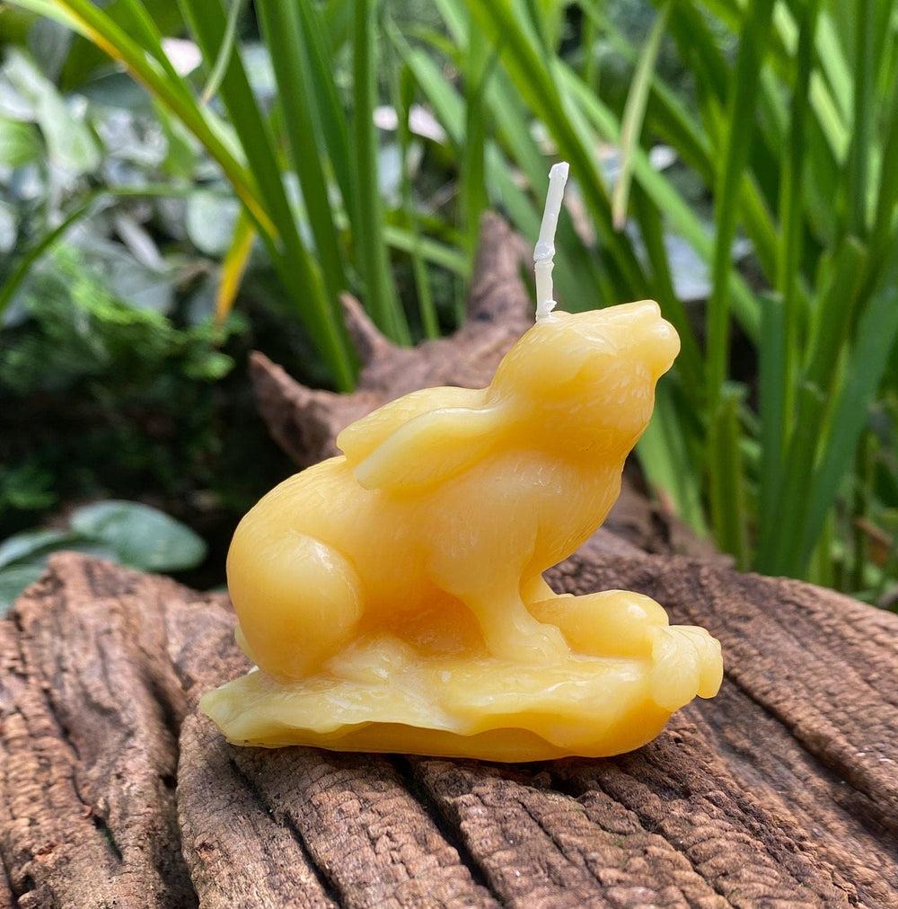 Garden Rabbit Beeswax Candle | 100% All Natural Bees Wax Candles | Bunny Spring | Hare | Animal Collection | Small Gift | USA Handmade | NEW - Bees Light Candles