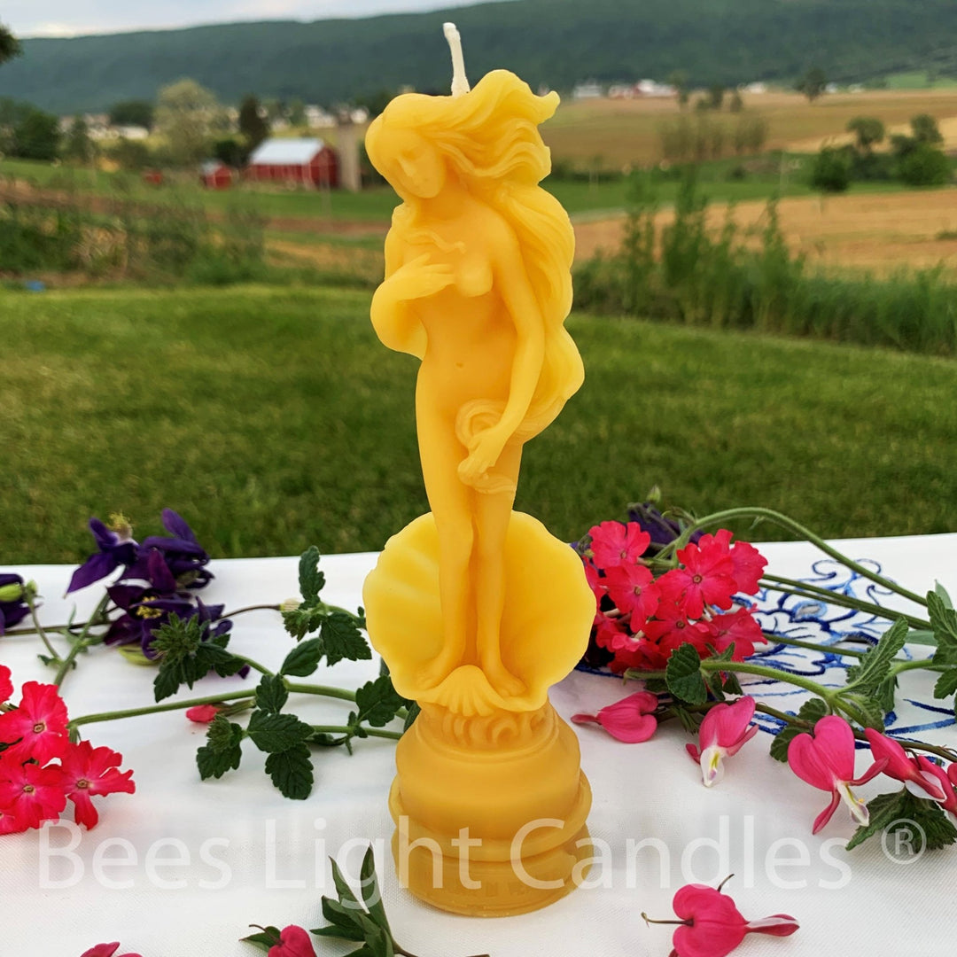 Girl with Shell Beeswax Candle | 100% All Natural Bees wax | Birth of Venus | Sea Shell Candles | Clam | French | Bathroom | Handmade in USA - Bees Light Candles