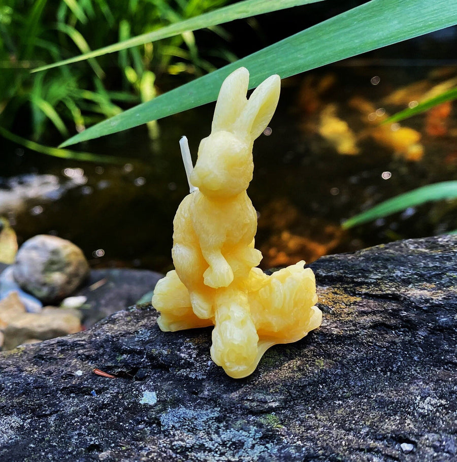 Hare Beeswax Candle | Rabbit on Log Bees Wax Candles | Long Eared | Animals | Forest Scene | Ornamental | Unique Gift | USA | Pure | Natural - Bees Light Candles