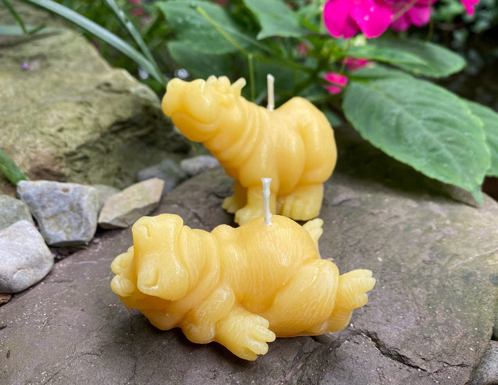 Hippo Buddies Beeswax Candles | All Natural Bees Wax Candles | Hippopotamus | Animal Collection | Pair | Quirky Gift | Cute | USA Handmade - Bees Light Candles