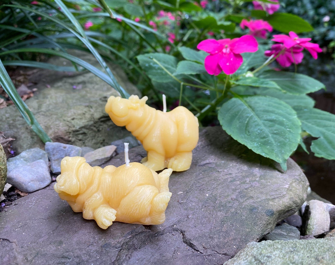 Hippo Buddies Beeswax Candles | All Natural Bees Wax Candles | Hippopotamus | Animal Collection | Pair | Quirky Gift | Cute | USA Handmade - Bees Light Candles