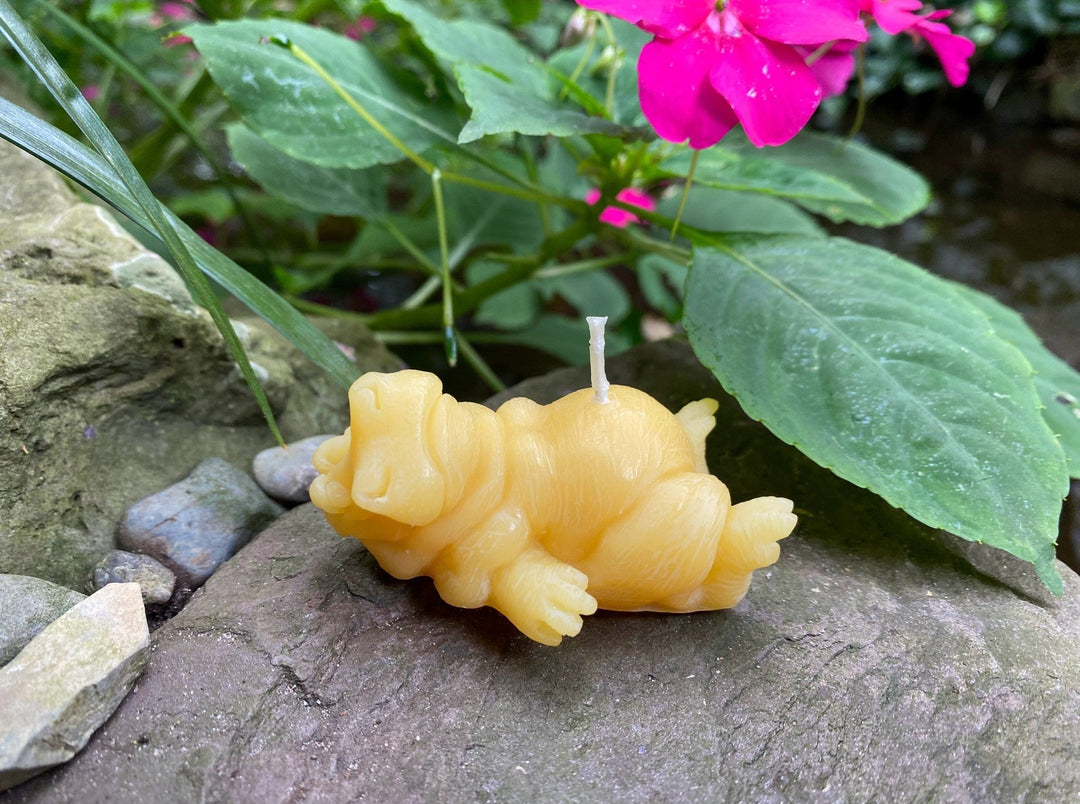 Hippo Buddies Beeswax Candles | All Natural Bees Wax Candles | Hippopotamus | Animal Collection | Pair | Quirky Gift | Cute | USA Handmade - Bees Light Candles