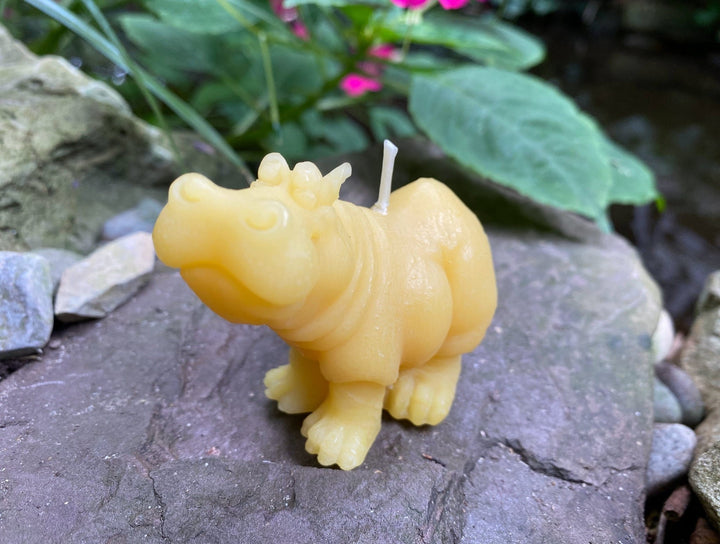 Hippo Buddies Beeswax Candles | All Natural Bees Wax Candles | Hippopotamus | Animal Collection | Pair | Quirky Gift | Cute | USA Handmade - Bees Light Candles