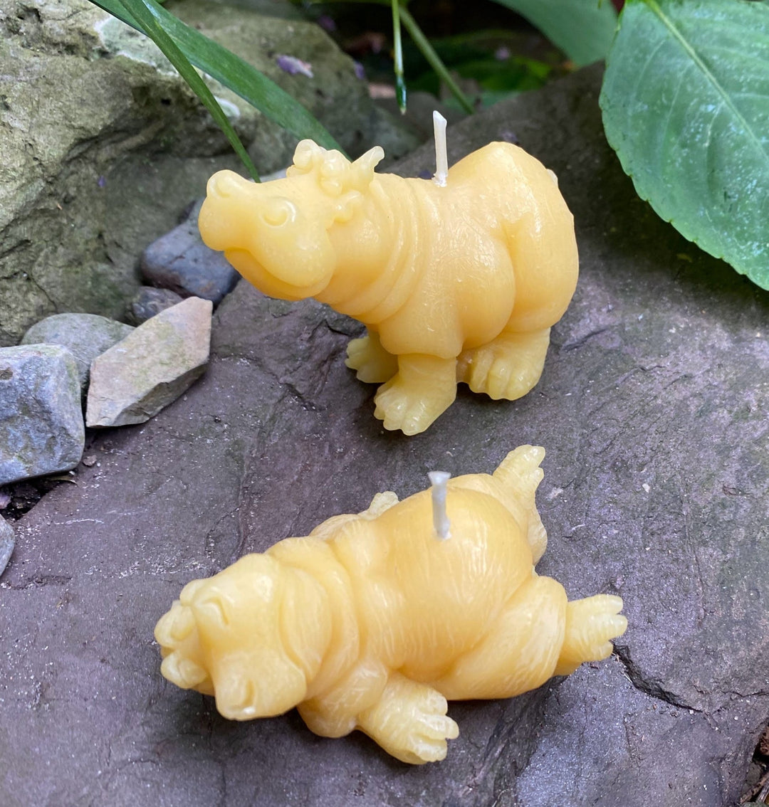 Hippo Buddies Beeswax Candles | All Natural Bees Wax Candles | Hippopotamus | Animal Collection | Pair | Quirky Gift | Cute | USA Handmade - Bees Light Candles