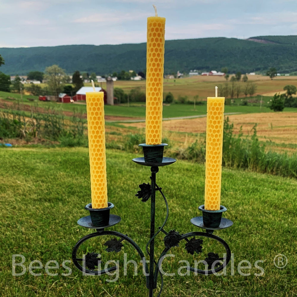 Honeycomb Taper Candles | 100% All Natural Beeswax Candle | Candelabra | Chandelier | Bees Wax Tapers | Handmade in USA | Honey Comb | Pure - Bees Light Candles