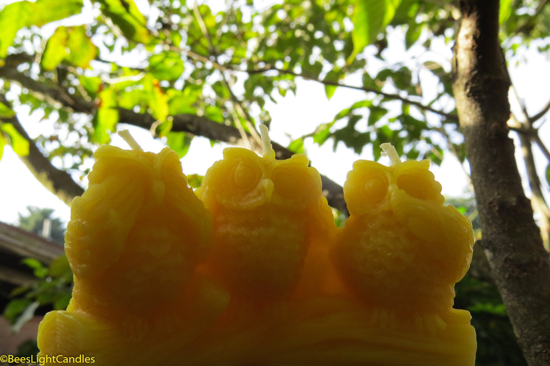 Three Wise Owls Beeswax Candles