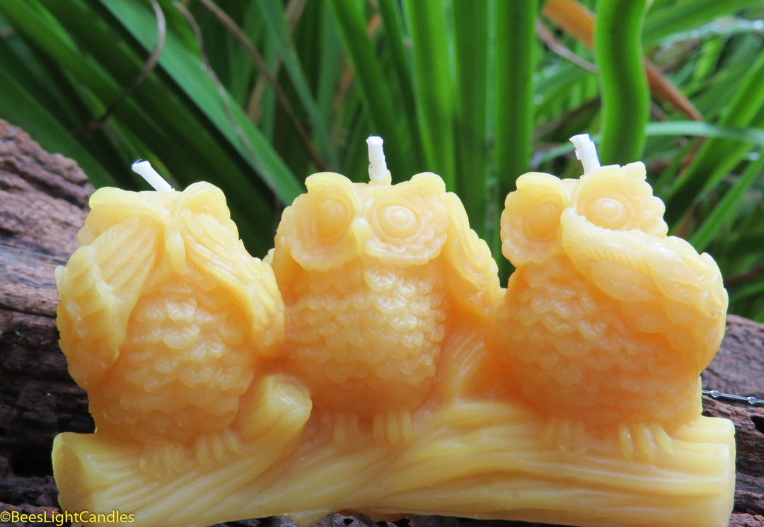 Three Wise Owls Beeswax Candles