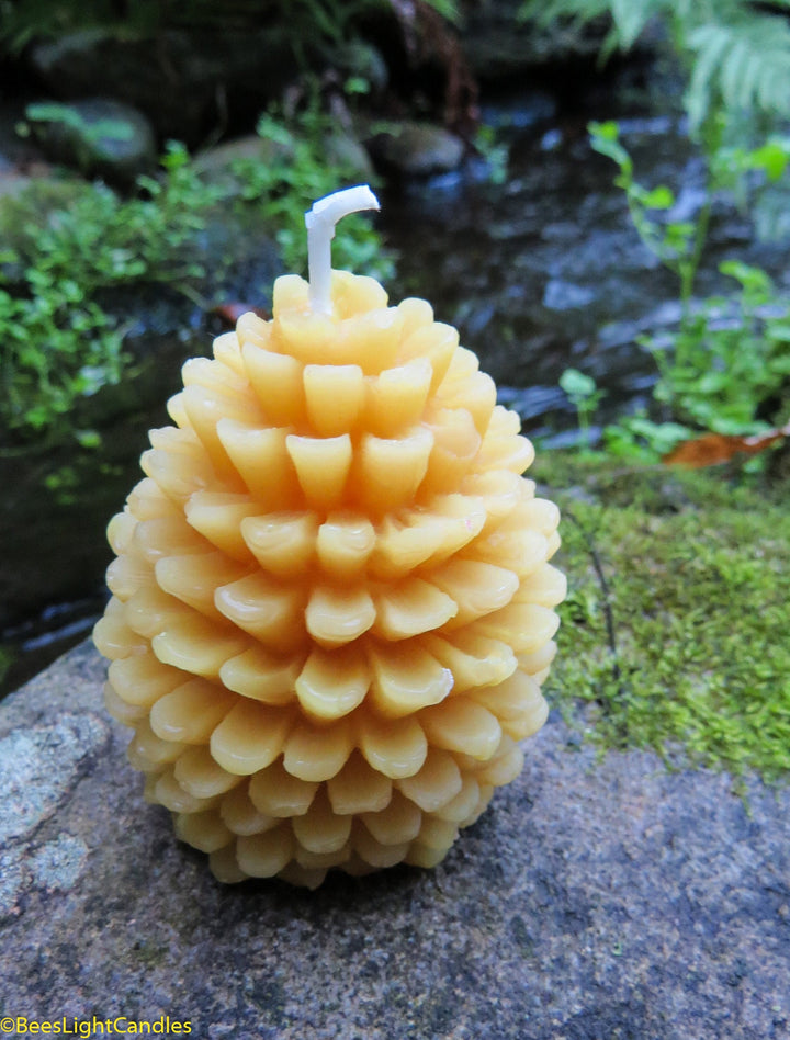 Pinecone Beeswax Candles Bulk