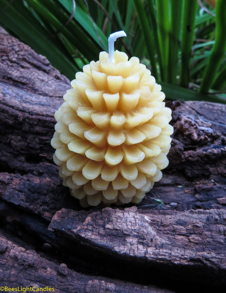 Pinecone Beeswax Candles Bulk