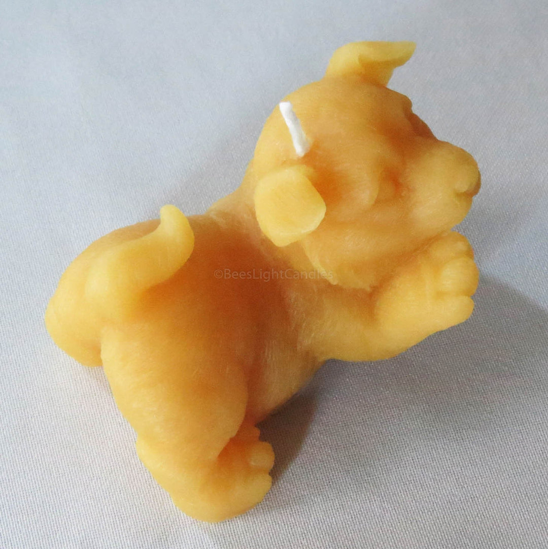 Puppy Dog Giving Paw Beeswax Candle