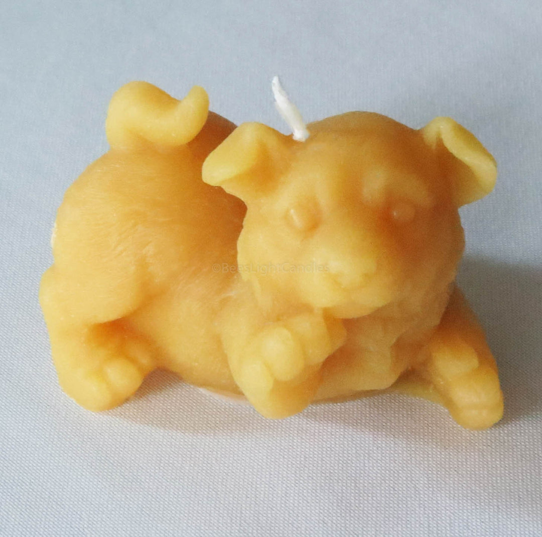 Puppy Dog Giving Paw Beeswax Candle