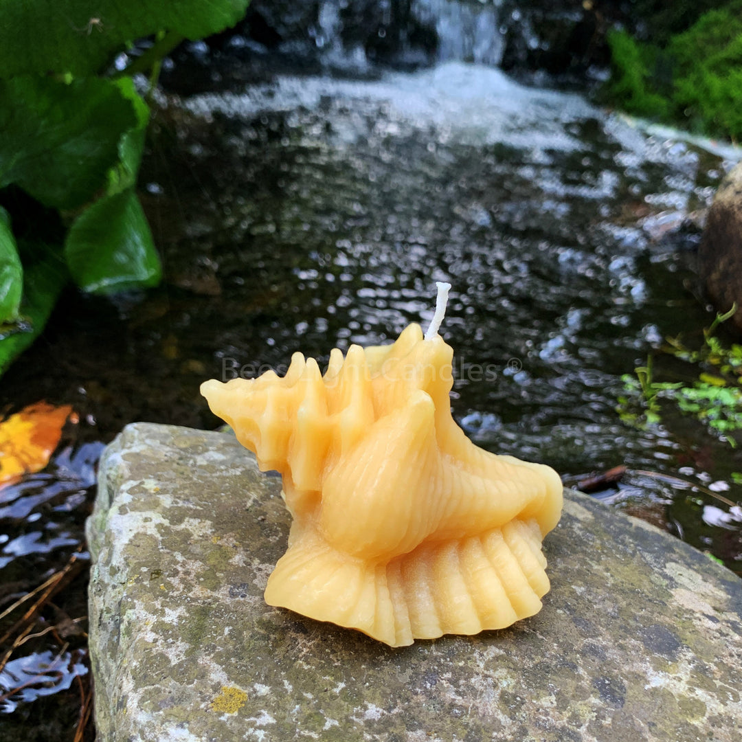 Conch Shell Beeswax Candle