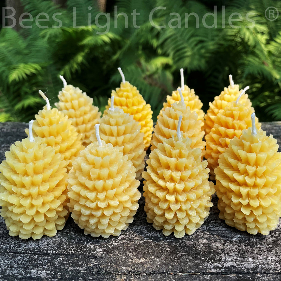 One Dozen Pinecone Beeswax Candles