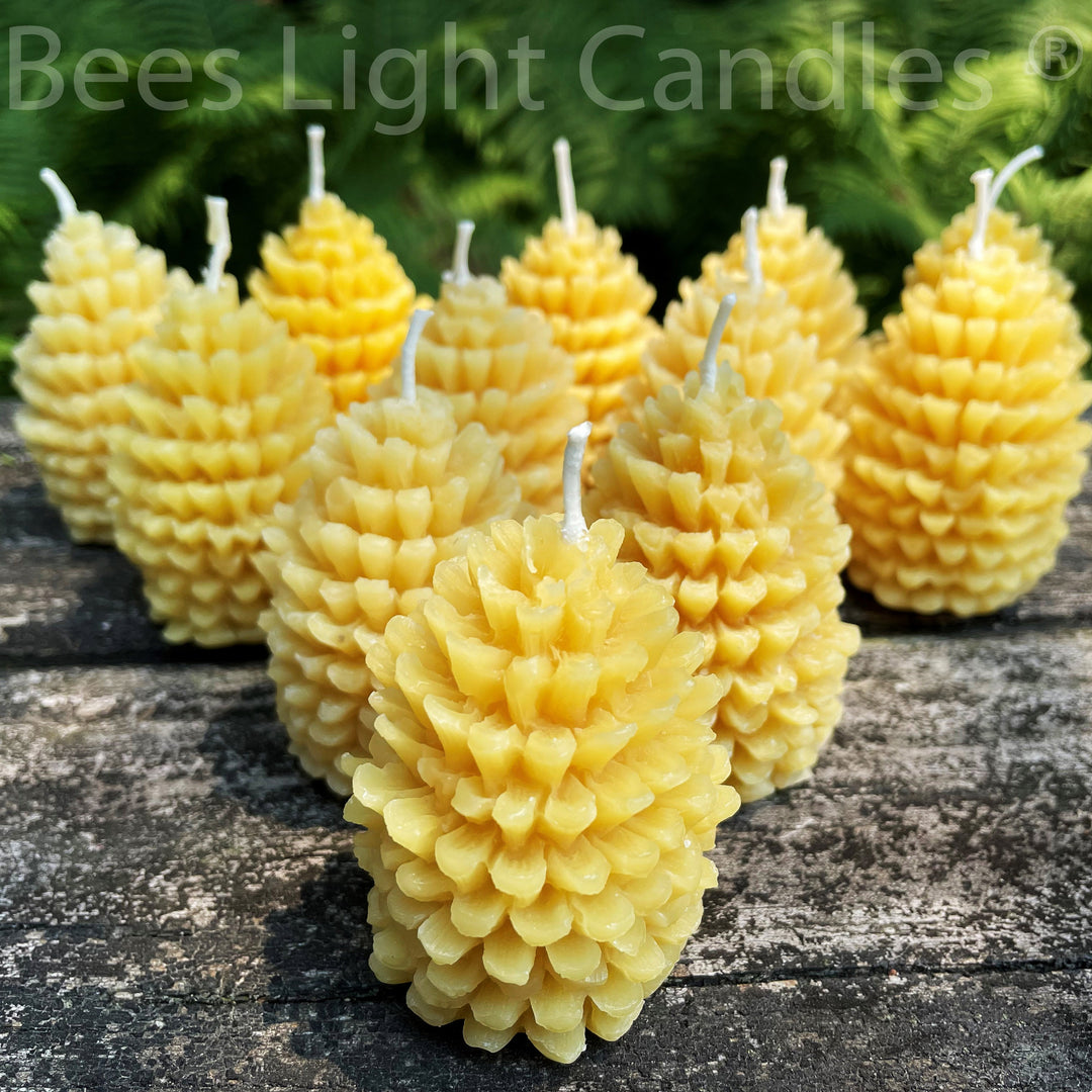 One Dozen Pinecone Beeswax Candles