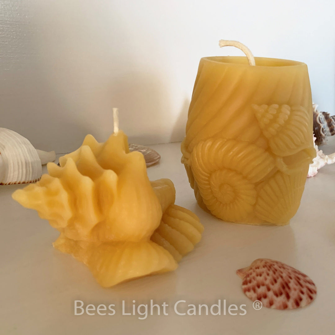 Seashell Beeswax Candle Set