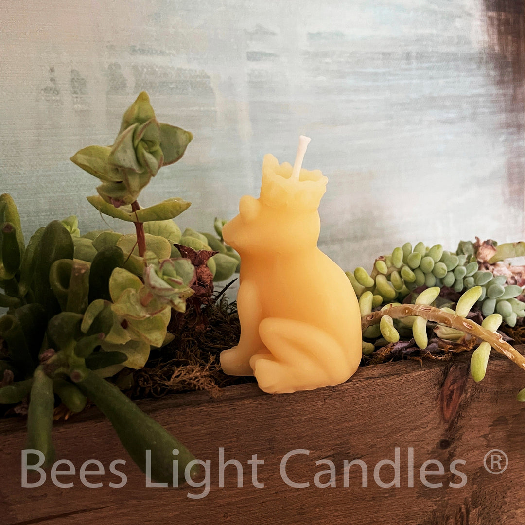 Frog Prince Beeswax Candle