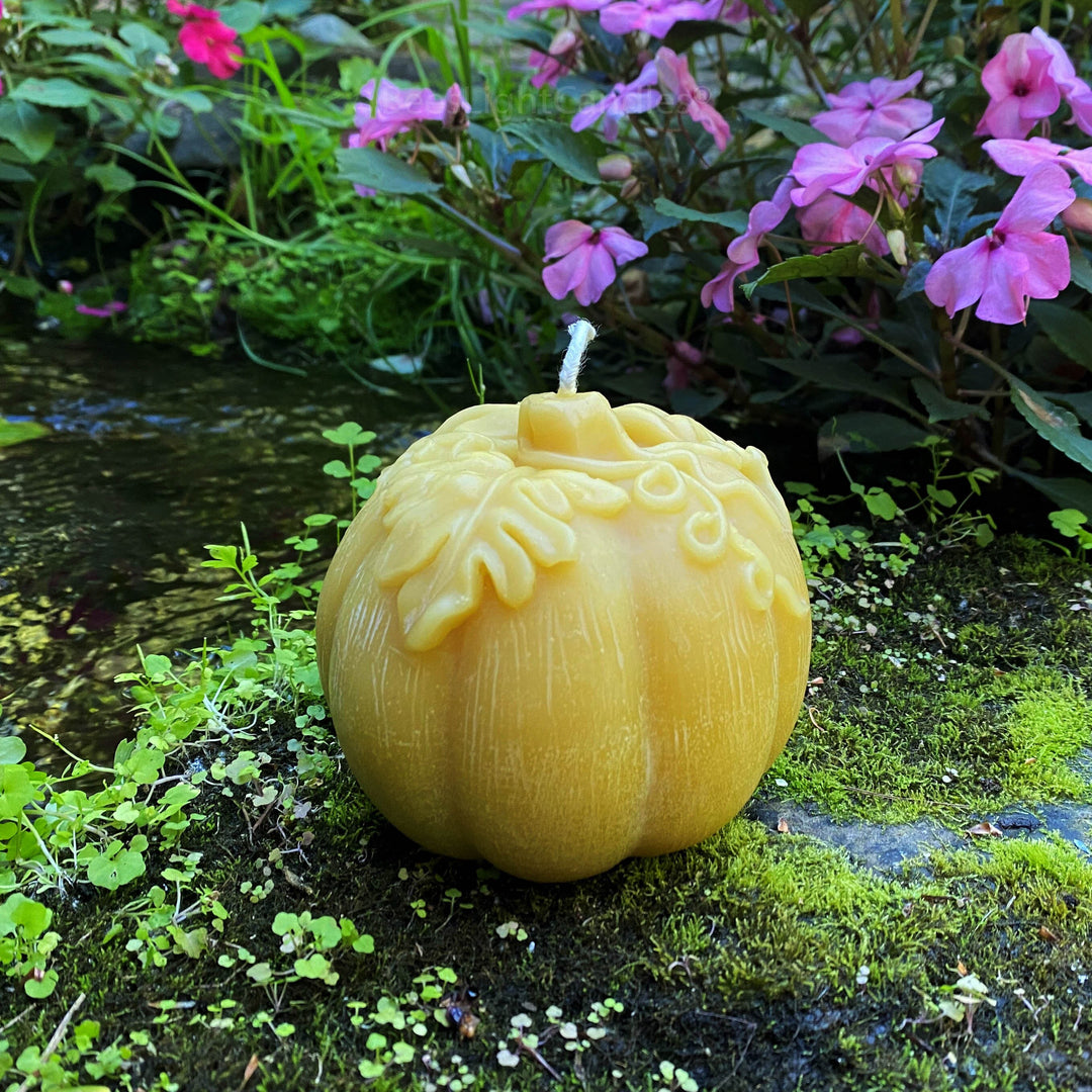 Large Pumpkin Beeswax Candle