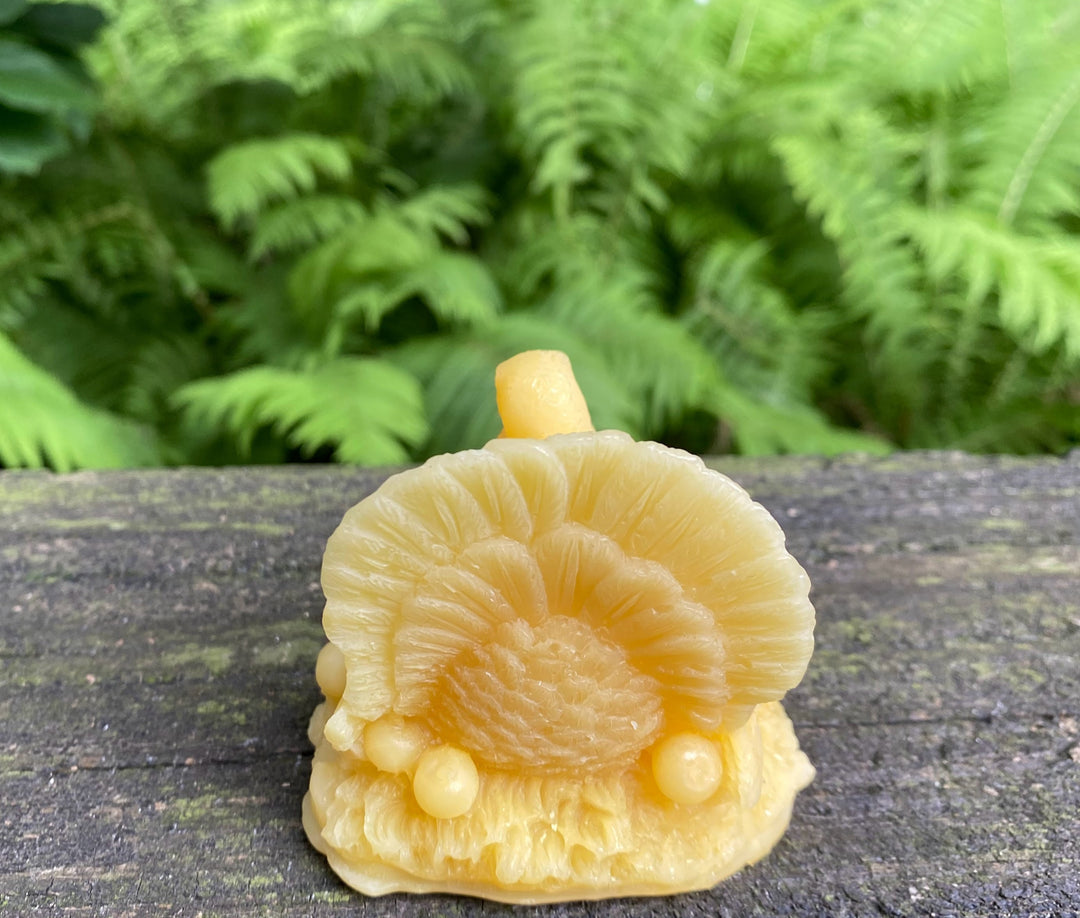 Turkey Beeswax Candle