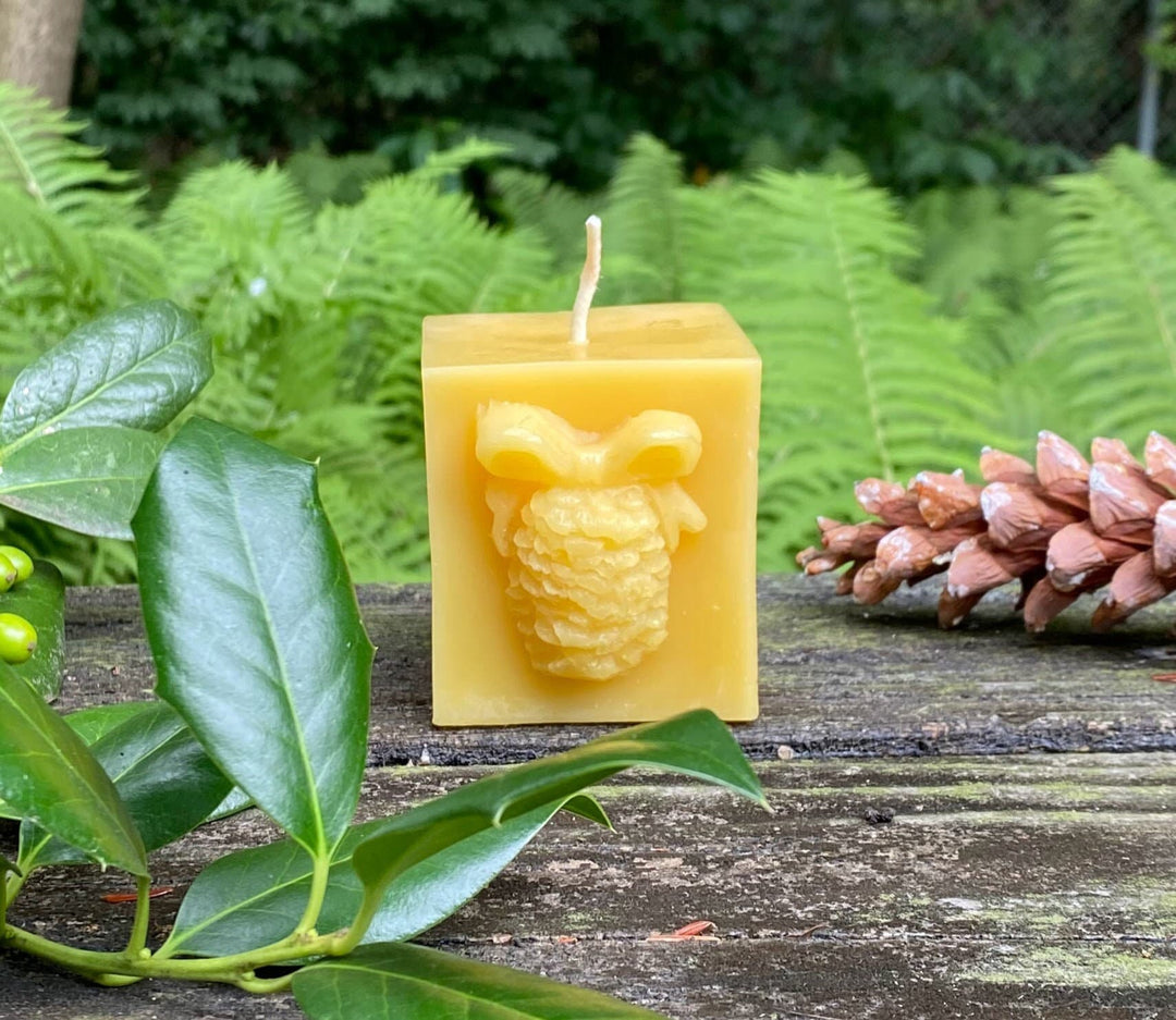 Pinecone Square Gift Beeswax Candle