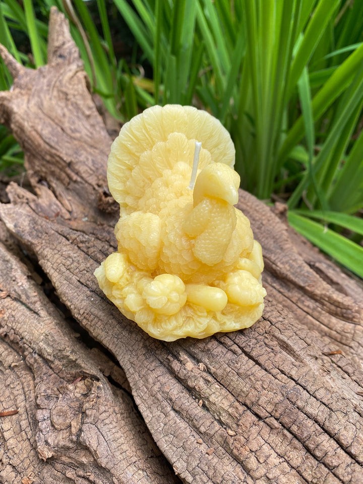 Turkey Beeswax Candle