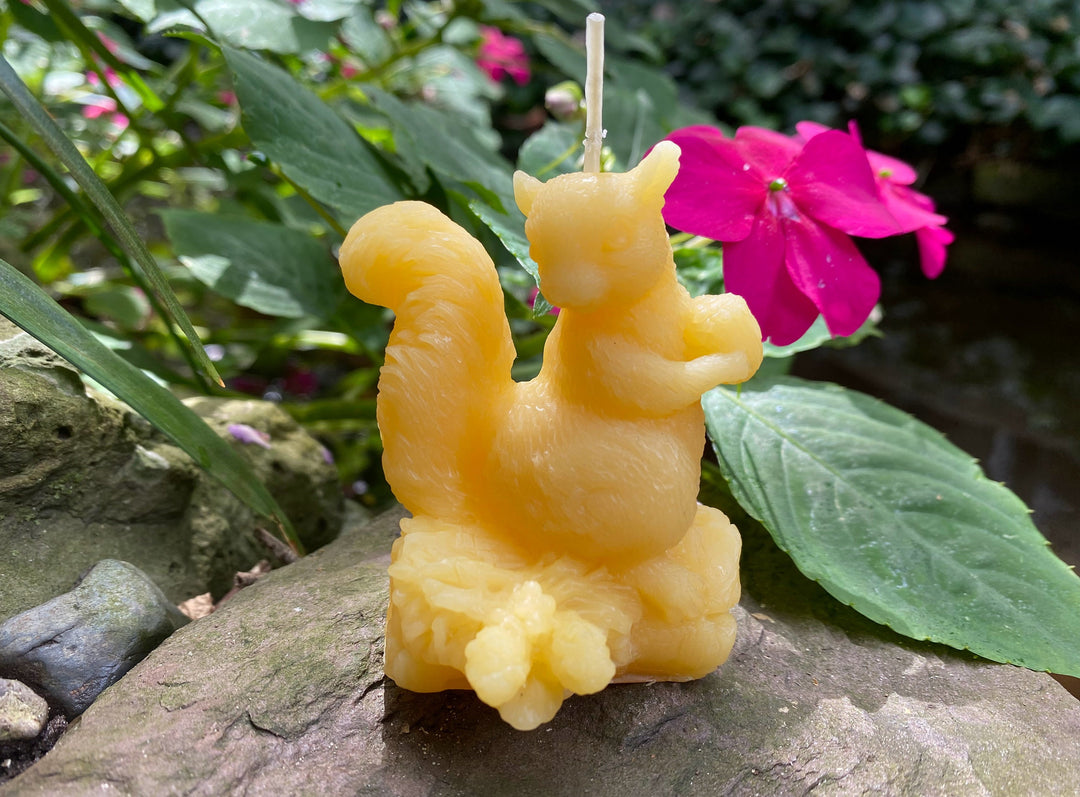 Squirrel Beeswax Candle