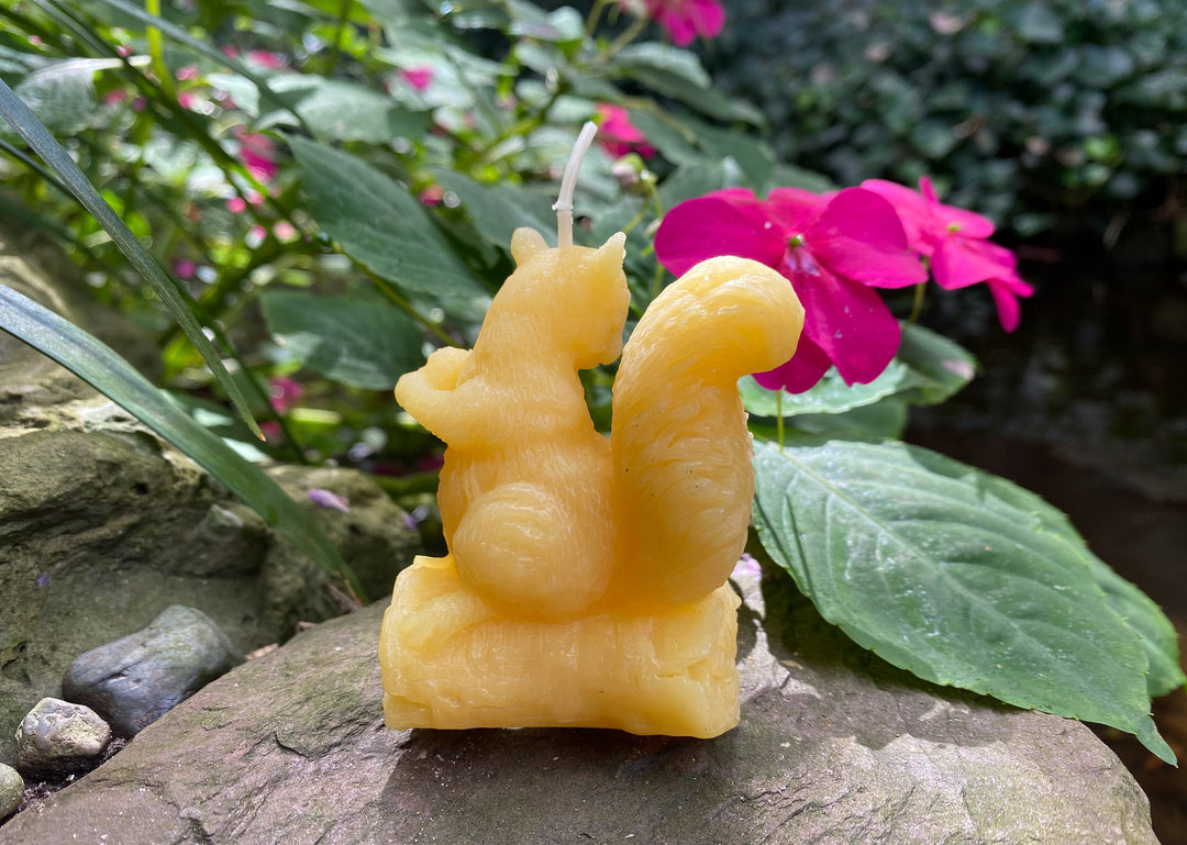 Squirrel Beeswax Candle