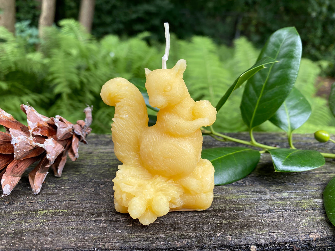 Squirrel Beeswax Candle