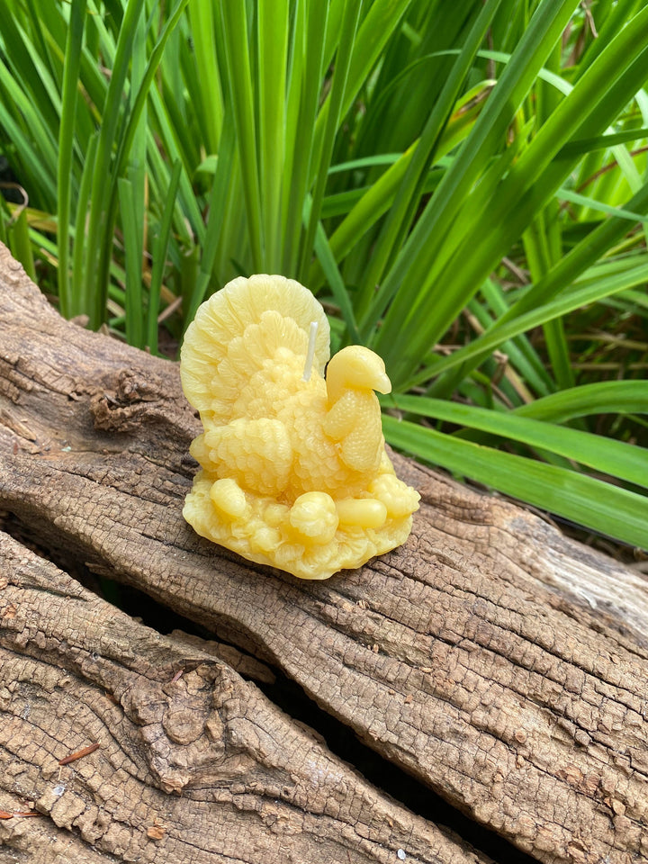 Turkey Beeswax Candle