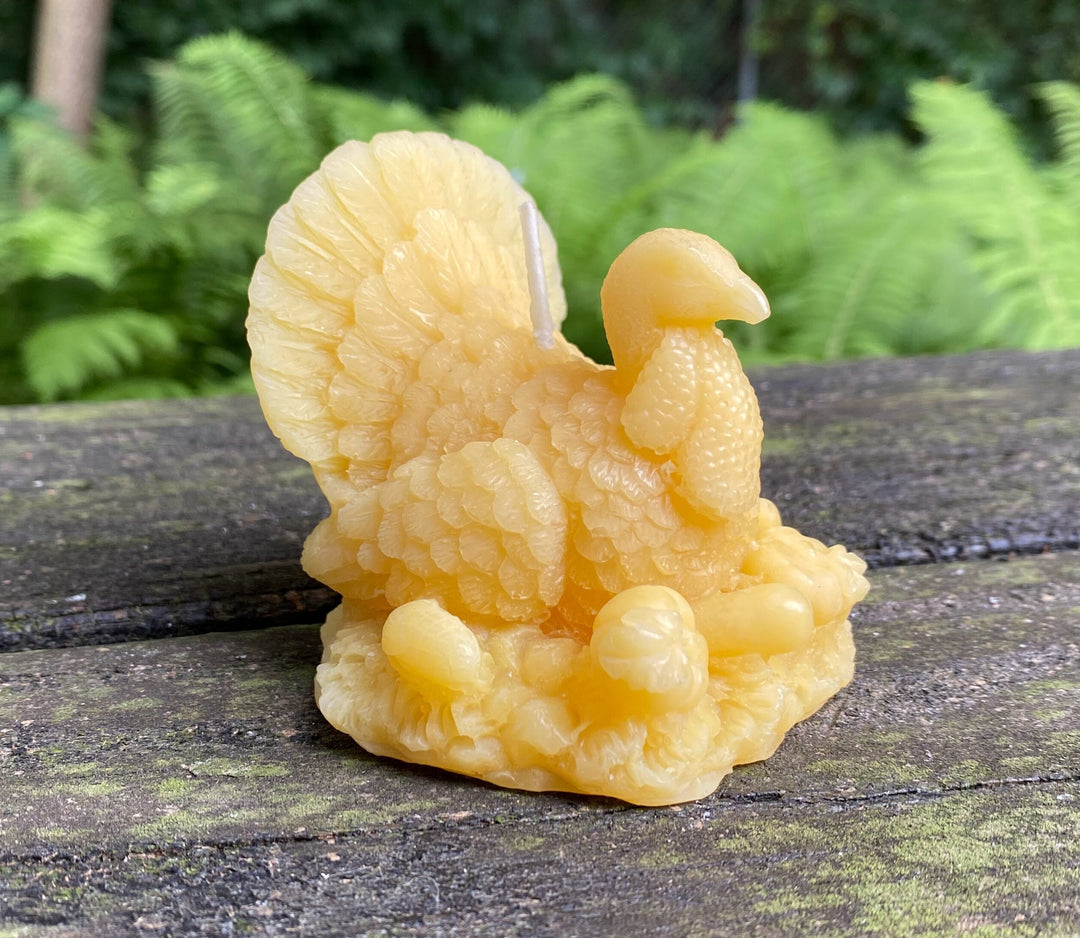 Turkey Beeswax Candle