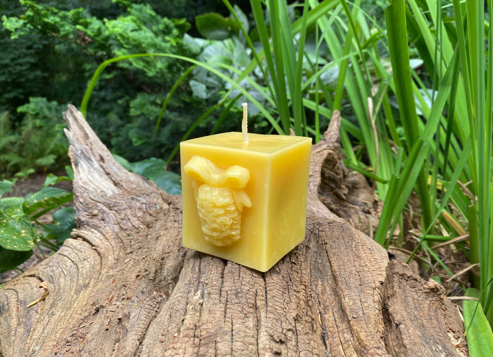 Pinecone Square Gift Beeswax Candle