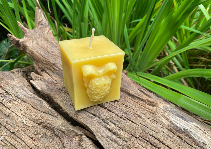 Pinecone Square Gift Beeswax Candle