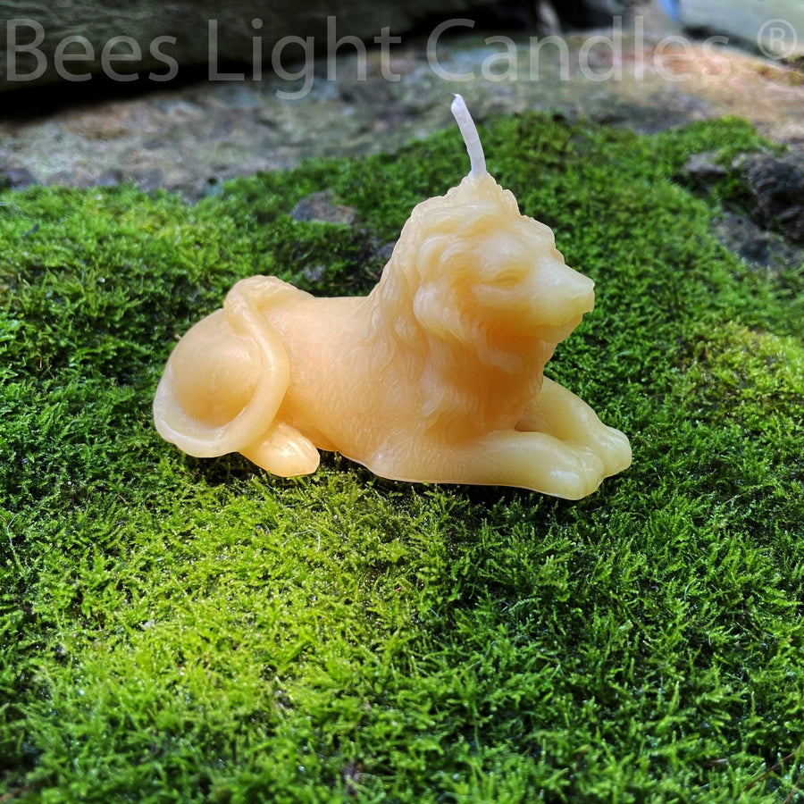 Lion Beeswax Candle | 100% All Natural Bees Wax | Animals | Zoo | Wild Safari | Africa | African Animal Candles | Lions | Cat Lover | Feline - Bees Light Candles