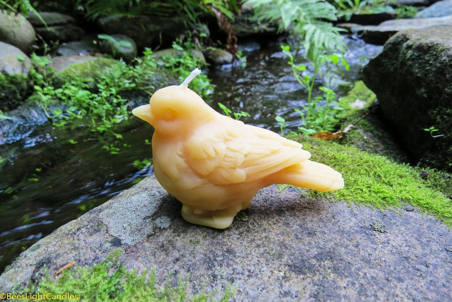 Little Bird Beeswax Candle | 100% Natural | Sparrow | Spring | Summer | Animals | Birthday Gift | Patio - Bees Light Candles