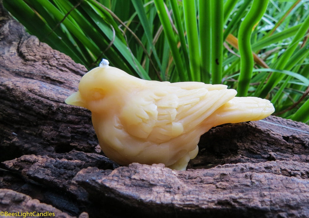 Little Bird Beeswax Candle | 100% Natural | Sparrow | Spring | Summer | Animals | Birthday Gift | Patio - Bees Light Candles