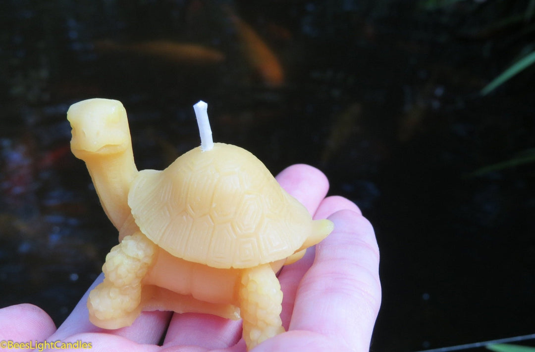 Little Turtle Beeswax Candle | 100% All Natural | Reptile | Tortoise | Turtle Candles | Birthday Gift | Event | Animal | Pond | Patio - Bees Light Candles