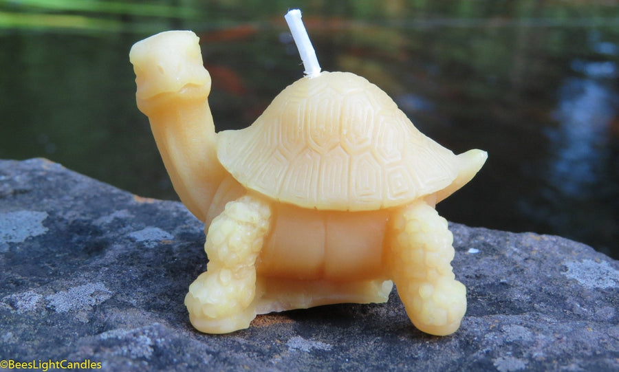 Little Turtle Beeswax Candle | 100% All Natural | Reptile | Tortoise | Turtle Candles | Birthday Gift | Event | Animal | Pond | Patio - Bees Light Candles