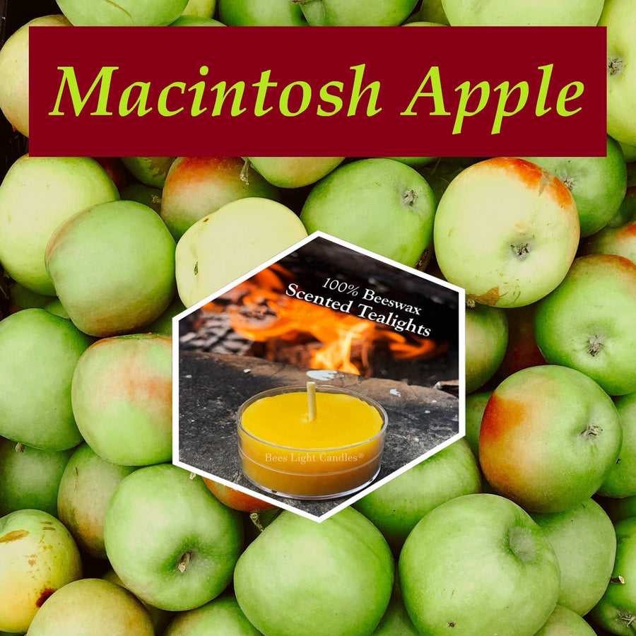 Macintosh Apple | Scented Beeswax Tealight Candle | Made with 100% All Natural Beeswax | Fall Festival Scent | September | October | Autumn - Bees Light Candles