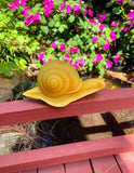 Snail Beeswax Candle - Bees Light Candles