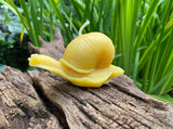 Snail Beeswax Candle - Bees Light Candles